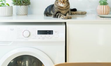 comment éviter les peluches dans la machine à laver
